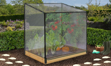 Serre de potager Aroma XXL