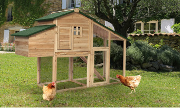 Poulailler Pondia bois naturel