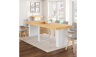 Console extensible Tania