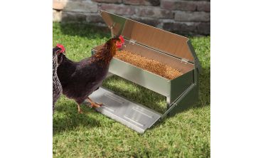 Mangeoire automatique pour poules