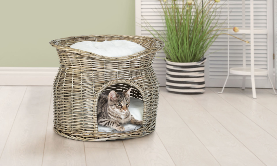 Panier En Osier Pour Chat